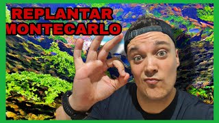 📣 VLOG AQUASCAPING 15 📣\\ MANTENIMIENTO ACUARIO PLANTADO \\ Quito toda la MONTECARLO DEL ACUARIO [upl. by Vokay470]