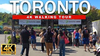 🇨🇦 Walking Torontos Zoo  4K Walking Tour Full Zoo 4K Ultra HDR60fps [upl. by Pontus]