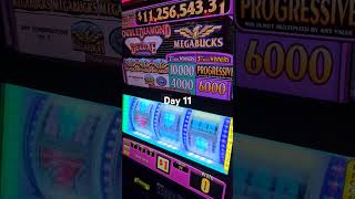 Day 11 spinning megabucks millions every day were in Las Vegas [upl. by Cox]