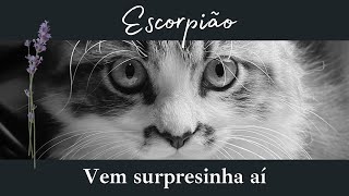 ESCORPIÃO♏️VEM SURPRESINHA AÍ  QUINTAFEIRA signos tarot baralhocigano [upl. by Eissim]