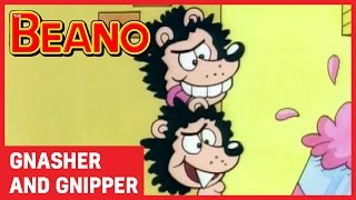 Gnasher and Gnipper  Best Bits  Beano All Stars [upl. by Ahsikel]