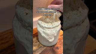 What I made with my sourdough starter in October sourdoughrecipes [upl. by Romalda]