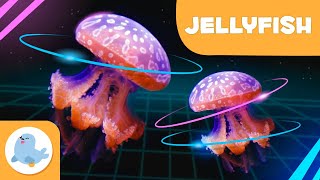 Jellyfish 👾 Animals for Kids 🌊 Episode 9 [upl. by Alard611]