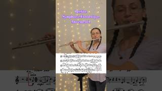 Berlioz Symphonie Fantastique mvt 1 Flute Excerpt flute classicalmusic [upl. by Lankton940]