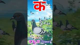 Ka se Kabutar Pigeon means Kabutar trending shorts viral [upl. by Orgell274]