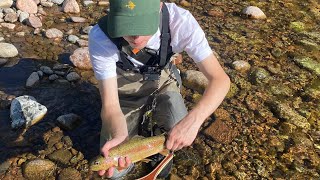 Vail Colorado Fly Fishing  Downtown Smackdown Day 1 [upl. by Sapowith]