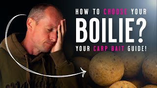 HOW TO CHOOSE A BOILIE Carp Fishing Baits Knowhow Your Bait Guide Mainline Baits Carp Fishing TV [upl. by Ambrosine797]