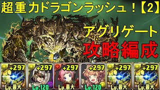 【超重力ドラゴンラッシュ！２】アグリゲート✕アグリゲートのアグリゲート編成で攻略！！【パズドラ】【メガドラゴンジャンボリー】 [upl. by Naelopan396]