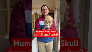 Human Real Skull  इंसान की असली खोपड़ी कैसी होती है viral trending shorts youtubeshorts shots [upl. by Cusick718]