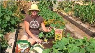 Vegetable Gardening  How to Root Potatoes [upl. by Oulman]