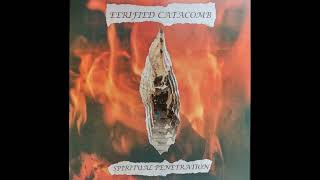 Eerified Catacomb Canada  Spiritual Penetration Album 2023 [upl. by Acinehs]