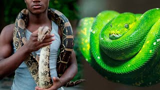 10 SNAKES You Can Have As A PET 🐍 [upl. by Anawak]