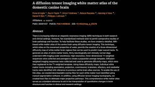 A diffusion tensor imaging white matter atlas of the domestic canine brain [upl. by Ashlan633]