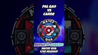 Pal Gao vs Carne  El Toty ArroyaL´Talent FuegoJa RulayOrleans 22kNayef Qva Live Mix [upl. by Erbe]