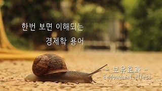 용어의 품격  경제학 2편 보유효과 Endowment effect [upl. by Tabby]