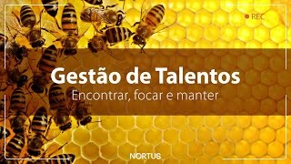 Gestão de talentos  Encontrar focar e manter [upl. by Nais]