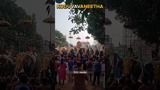 Pooram pooram pooram2024 ssmedia2024 [upl. by Nitsreik]