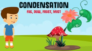 Condensation and its forms  Dew Fog Frost and Mist  Video for Kids [upl. by Indihar]