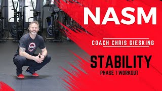 NASM Stability Workout [upl. by Aillicirp]