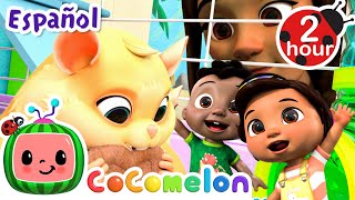 ¡Conoce a Jelly Bean  CoComelon y los animales 🍉 Dibujos animados para niños [upl. by Gorton]