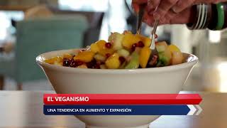 Vegetarianismo y veganismo ¿moda o necesidad [upl. by Alusru746]