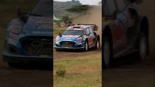 Ott Tänak back in his msport days 😍 wrc safarirallykenya fordpuma rally1 rallycar [upl. by Ellerol]