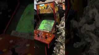 Finding a RARE Sega Golden Axe Revenge of Death Adder Arcade Cabinet  G  the Bishop Cidercade [upl. by Rehc46]