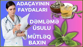 ADAÇAYI SÜRVƏŞALFEY ÇAYI FAYDALARI VƏ DƏMLƏNMƏ ÜSULU [upl. by Rogergcam]