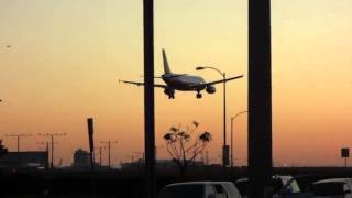 LAX In N Out United Airlines landing [upl. by Notgnihsaw648]