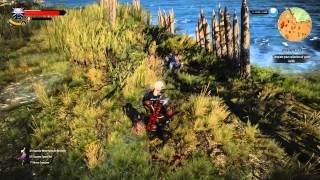 The Witcher 3 respawning Foglets 112 [upl. by Llednahc]