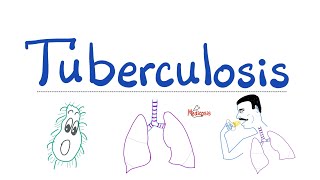 Tuberculosis TB  The Most Comprehensive Explanation  Respiratory Pathology  Pulmonology Series [upl. by Cannell]