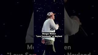 Morgan Wallen  “Love Somebody” at Neyland 🎥 paigehonaker morganwallen shorts countrymusic [upl. by Nauqyaj]