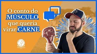 🍖  COMO É FEITO A PROCESSO DE MATURAÇÃO DA CARNE  🤘 [upl. by Eldwen]