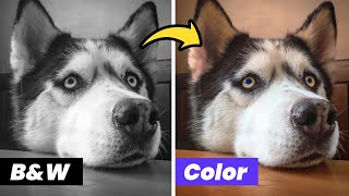 How to Colorize Black and White Photos with AI in 2024  Without Photoshop [upl. by Nnaycnan537]