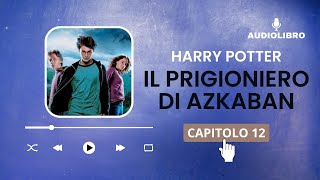 12 Harry Potter e IL PRIGIONIERO DI AZKABAN volume 3 Audiolibro  IL PATRONUS [upl. by Ettennod]