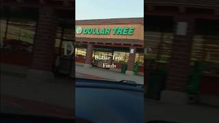 Whats at Dollar Tree dollartree browsing [upl. by Drusi]