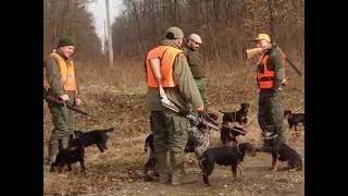 Deutscher Jagdterrierhunting with my friends [upl. by Marline787]