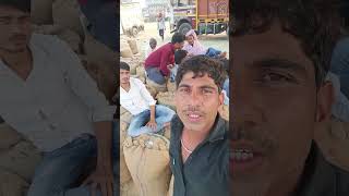 Aligarh dhaan Mandi  Hindi funny video  Jeetu king of comedy YouTube shorts [upl. by Euqinad973]