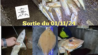 sortie sur la digue Carnot le 011124 [upl. by Ecidna]