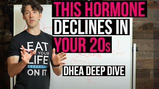 DHEA the Mother of ALL Hormones Testosterone Estrogen  Metabolism overview [upl. by Sears48]