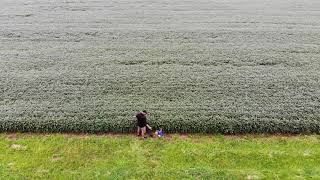 Aerokinesis Drone View [upl. by Wartow]