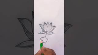 water lily drawing foryou drawing waterlily art shorts [upl. by Irneh]