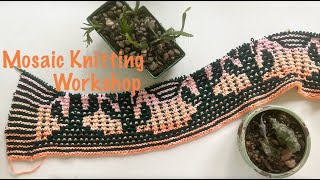 Mosaic Knitting Workshop by Ashleigh Wempe Giveaway  Flip thru and my Saguaro Sunset progress [upl. by Marozik]