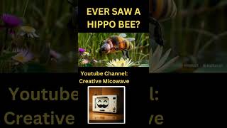 Hippo Bee Hybrid An AIGenerated Wildlife Adventure aiart aicontent AICreatures HybridAnimals [upl. by Buna]