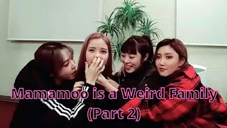 Mamamoo is a Weird Family Part 2 [upl. by Boarer]