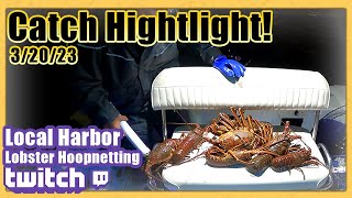 Monster Lobster and Jumbos Limits in this Catch Highlight 32023 [upl. by Emmalynn558]