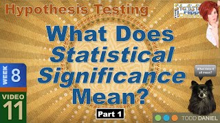 What Statistical Significance Means – Part 1 811 [upl. by Annagroeg751]