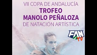 VII Copa de Andalucía de Natación Artística TROFEO MANOLO PEÑALOZA [upl. by Neehs]