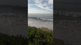 This Morning At the beach Santa Cruz Californiabeach [upl. by Acinok]