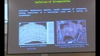 Lecture on Stromatolites part I [upl. by Atteloc]